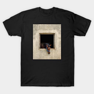 Horse in a Stable T-Shirt